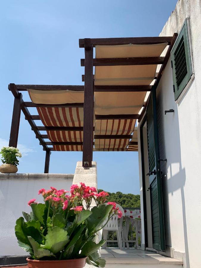 Casa Del Gelso Apartment San Menaio Exterior foto